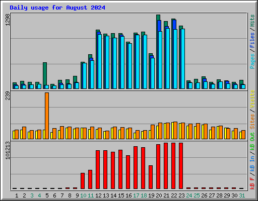 Daily usage for August 2024