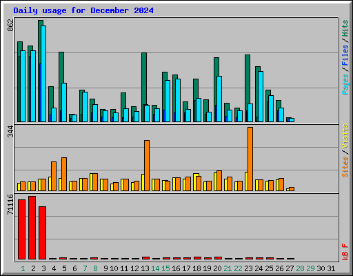 Daily usage for December 2024