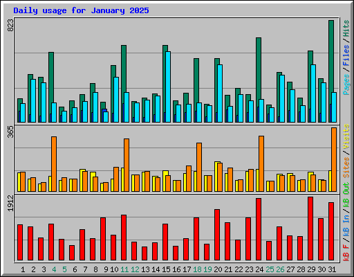 Daily usage for January 2025