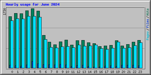 Hourly usage for June 2024