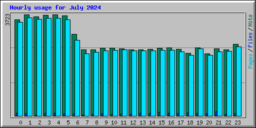 Hourly usage for July 2024