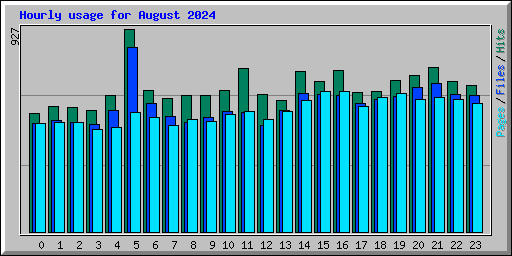 Hourly usage for August 2024