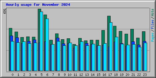 Hourly usage for November 2024