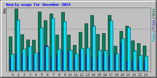 Hourly usage for December 2024