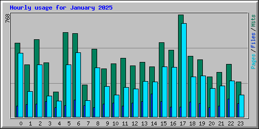 Hourly usage for January 2025