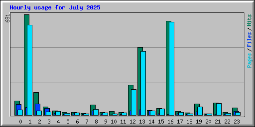 Hourly usage for July 2025