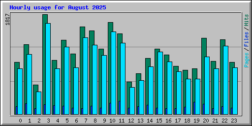 Hourly usage for August 2025