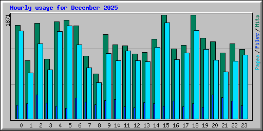 Hourly usage for December 2025