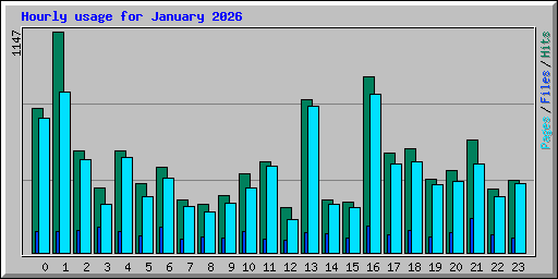 Hourly usage for January 2026
