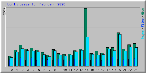 Hourly usage for February 2026