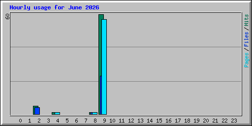 Hourly usage for June 2026