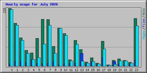 Hourly usage for July 2026