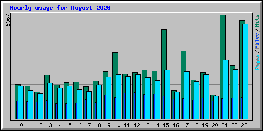 Hourly usage for August 2026