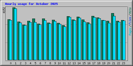 Hourly usage for October 2025