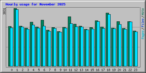 Hourly usage for November 2025