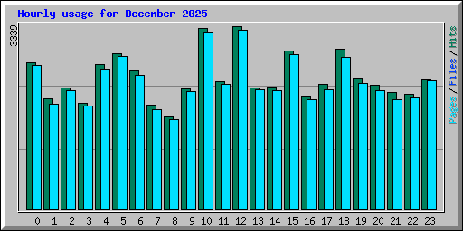 Hourly usage for December 2025