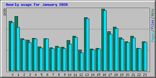 Hourly usage for January 2026