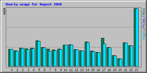 Hourly usage for August 2026
